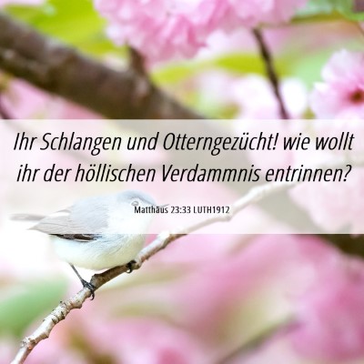 Picture 06 - Matthäus 23:33 LUTH1912 - Ihr Schlangen und Otterngezücht! wie wollt ihr - Bible Verse Picture