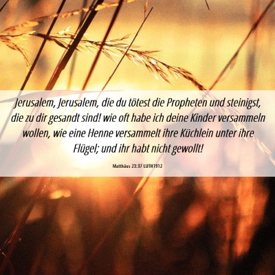Picture 06 - Matthäus 23:37 LUTH1912 - Jerusalem, Jerusalem, die du tötest die - Bible Verse Picture