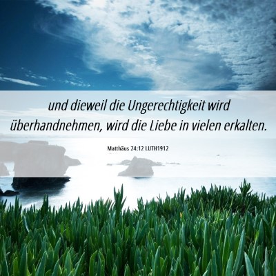 Picture 06 - Matthäus 24:12 LUTH1912 - und dieweil die Ungerechtigkeit wird - Bible Verse Picture