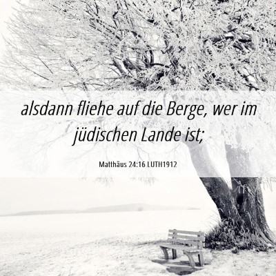 Picture 06 - Matthäus 24:16 LUTH1912 - alsdann fliehe auf die Berge, wer im jüdischen - Bible Verse Picture