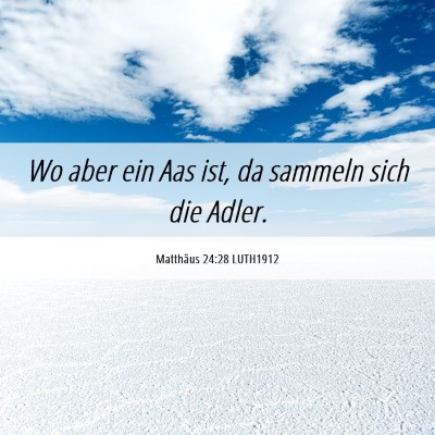 Picture 06 - Matthäus 24:28 LUTH1912 - Wo aber ein Aas ist, da sammeln sich die - Bible Verse Picture