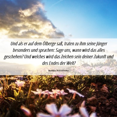 Picture 06 - Matthäus 24:3 LUTH1912 - Und als er auf dem Ölberge saß, traten zu ihm - Bible Verse Picture