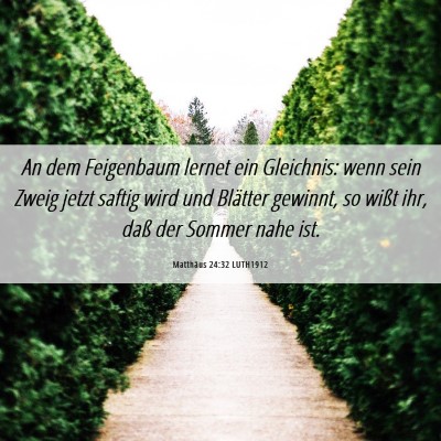 Picture 06 - Matthäus 24:32 LUTH1912 - An dem Feigenbaum lernet ein Gleichnis: wenn sein - Bible Verse Picture