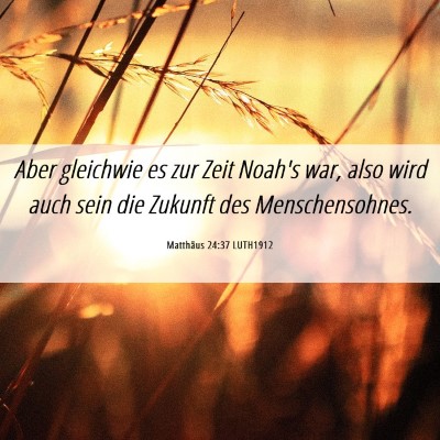 Picture 06 - Matthäus 24:37 LUTH1912 - Aber gleichwie es zur Zeit Noah's war, also wird - Bible Verse Picture