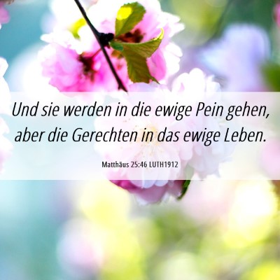 Picture 06 - Matthäus 25:46 LUTH1912 - Und sie werden in die ewige Pein gehen, aber die - Bible Verse Picture