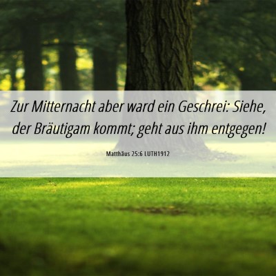 Picture 06 - Matthäus 25:6 LUTH1912 - Zur Mitternacht aber ward ein Geschrei: Siehe, - Bible Verse Picture