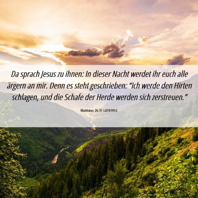 Picture 06 - Matthäus 26:31 LUTH1912 - Da sprach Jesus zu ihnen: In dieser Nacht werdet - Bible Verse Picture