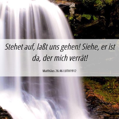 Picture 06 - Matthäus 26:46 LUTH1912 - Stehet auf, laßt uns gehen! Siehe, er ist da, - Bible Verse Picture