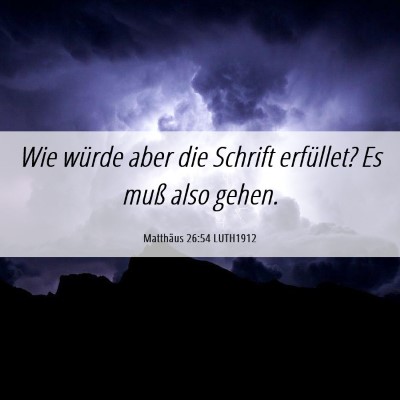 Picture 06 - Matthäus 26:54 LUTH1912 - Wie würde aber die Schrift erfüllet? Es muß - Bible Verse Picture