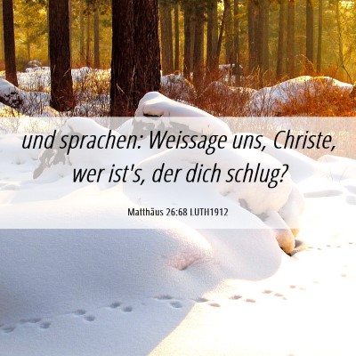 Picture 06 - Matthäus 26:68 LUTH1912 - und sprachen: Weissage uns, Christe, wer ist's, - Bible Verse Picture