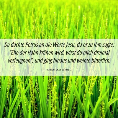 Picture 06 - Matthäus 26:75 LUTH1912 - Da dachte Petrus an die Worte Jesu, da er zu ihm - Bible Verse Picture