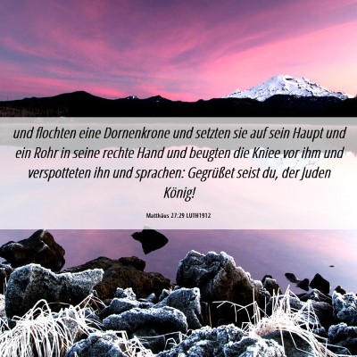 Picture 06 - Matthäus 27:29 LUTH1912 - und flochten eine Dornenkrone und setzten sie auf - Bible Verse Picture