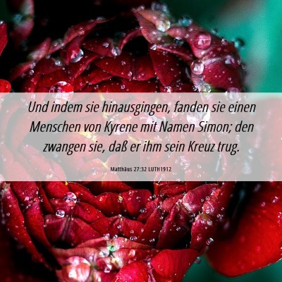 Picture 06 - Matthäus 27:32 LUTH1912 - Und indem sie hinausgingen, fanden sie einen - Bible Verse Picture