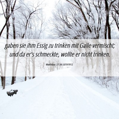 Picture 06 - Matthäus 27:34 LUTH1912 - gaben sie ihm Essig zu trinken mit Galle - Bible Verse Picture