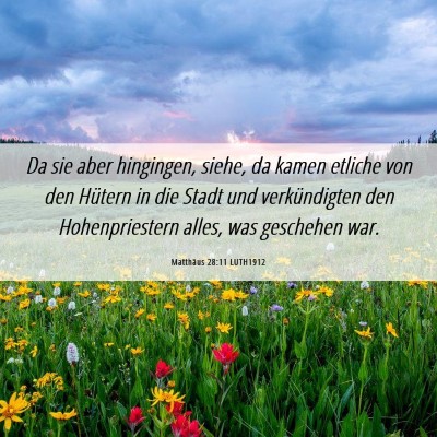 Picture 06 - Matthäus 28:11 LUTH1912 - Da sie aber hingingen, siehe, da kamen etliche - Bible Verse Picture
