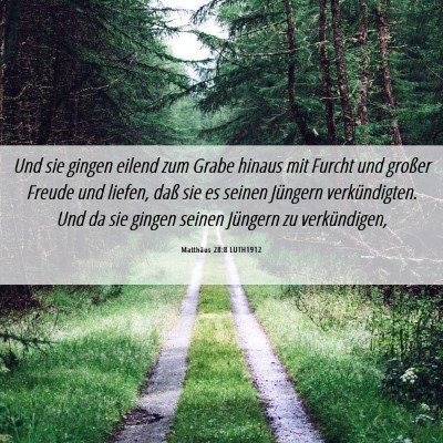Picture 06 - Matthäus 28:8 LUTH1912 - Und sie gingen eilend zum Grabe hinaus mit Furcht - Bible Verse Picture