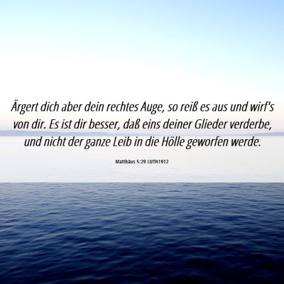 Picture 06 - Matthäus 5:29 LUTH1912 - Ärgert dich aber dein rechtes Auge, so reiß es - Bible Verse Picture