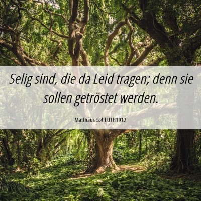 Picture 06 - Matthäus 5:4 LUTH1912 - Selig sind, die da Leid tragen; denn sie sollen - Bible Verse Picture