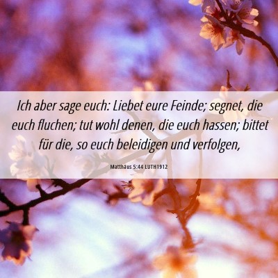 Picture 06 - Matthäus 5:44 LUTH1912 - Ich aber sage euch: Liebet eure Feinde; segnet, - Bible Verse Picture
