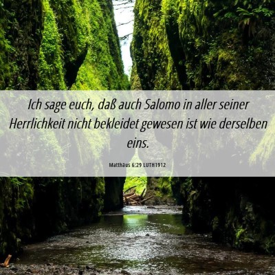 Picture 06 - Matthäus 6:29 LUTH1912 - Ich sage euch, daß auch Salomo in aller seiner - Bible Verse Picture