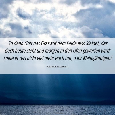 Picture 06 - Matthäus 6:30 LUTH1912 - So denn Gott das Gras auf dem Felde also kleidet, - Bible Verse Picture