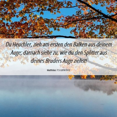 Picture 06 - Matthäus 7:5 LUTH1912 - Du Heuchler, zieh am ersten den Balken aus deinem - Bible Verse Picture