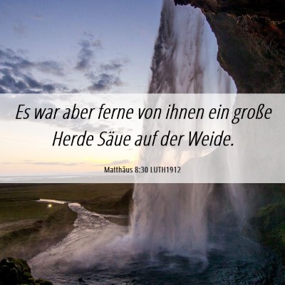 Picture 06 - Matthäus 8:30 LUTH1912 - Es war aber ferne von ihnen ein große Herde - Bible Verse Picture