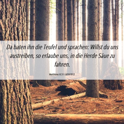 Picture 06 - Matthäus 8:31 LUTH1912 - Da baten ihn die Teufel und sprachen: Willst du - Bible Verse Picture