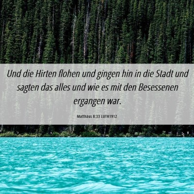 Picture 06 - Matthäus 8:33 LUTH1912 - Und die Hirten flohen und gingen hin in die Stadt - Bible Verse Picture