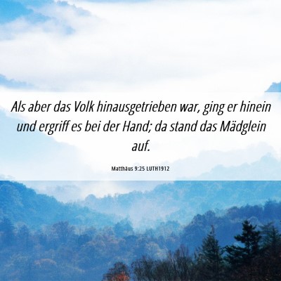 Picture 06 - Matthäus 9:25 LUTH1912 - Als aber das Volk hinausgetrieben war, ging er - Bible Verse Picture