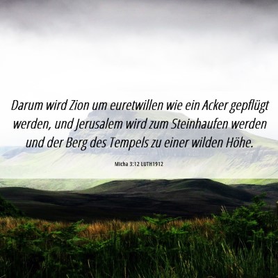 Picture 06 - Micha 3:12 LUTH1912 - Darum wird Zion um euretwillen wie ein Acker - Bible Verse Picture