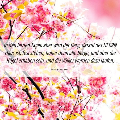 Picture 06 - Micha 4:1 LUTH1912 - In den letzten Tagen aber wird der Berg, darauf - Bible Verse Picture