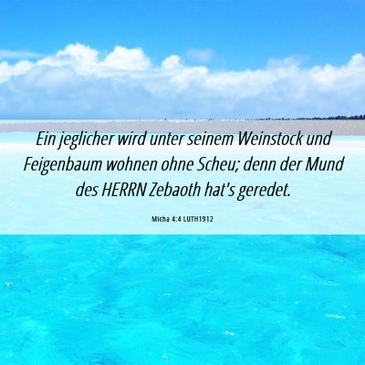 Picture 06 - Micha 4:4 LUTH1912 - Ein jeglicher wird unter seinem Weinstock und - Bible Verse Picture