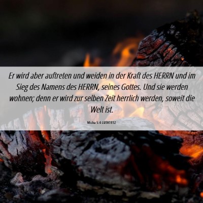 Picture 06 - Micha 5:4 LUTH1912 - Er wird aber auftreten und weiden in der Kraft - Bible Verse Picture