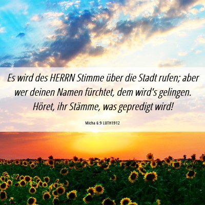 Picture 06 - Micha 6:9 LUTH1912 - Es wird des HERRN Stimme über die Stadt rufen; - Bible Verse Picture