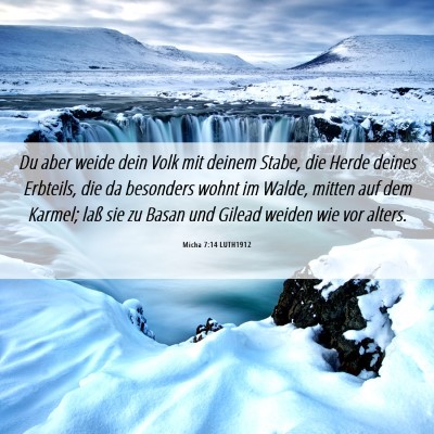 Picture 06 - Micha 7:14 LUTH1912 - Du aber weide dein Volk mit deinem Stabe, die - Bible Verse Picture