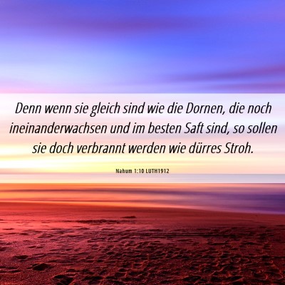 Picture 06 - Nahum 1:10 LUTH1912 - Denn wenn sie gleich sind wie die Dornen, die - Bible Verse Picture