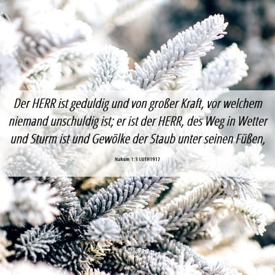 Picture 06 - Nahum 1:3 LUTH1912 - Der HERR ist geduldig und von großer Kraft, vor - Bible Verse Picture