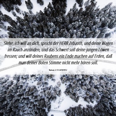 Picture 06 - Nahum 2:13 LUTH1912 - Siehe, ich will an dich, spricht der HERR - Bible Verse Picture