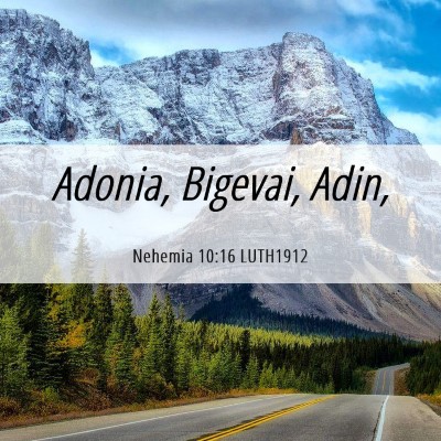 Picture 06 - Nehemia 10:16 LUTH1912 - Adonia, Bigevai, - Bible Verse Picture