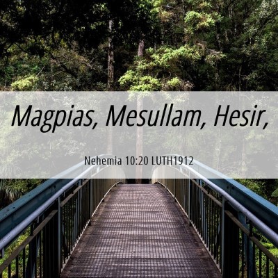Picture 06 - Nehemia 10:20 LUTH1912 - Magpias, Mesullam, - Bible Verse Picture