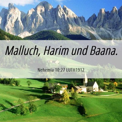 Picture 06 - Nehemia 10:27 LUTH1912 - Malluch, Harim und - Bible Verse Picture