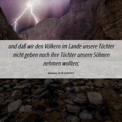 Picture 06 - Nehemia 10:30 LUTH1912 - und daß wir den Völkern im Lande unsere - Bible Verse Picture