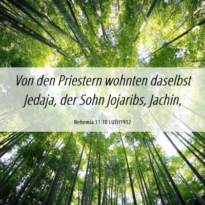 Picture 06 - Nehemia 11:10 LUTH1912 - Von den Priestern wohnten daselbst Jedaja, der - Bible Verse Picture