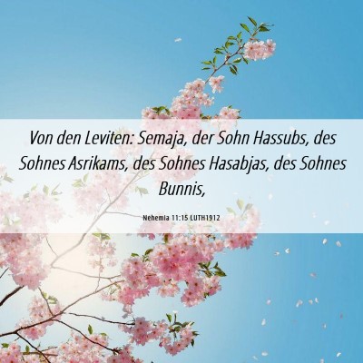 Picture 06 - Nehemia 11:15 LUTH1912 - Von den Leviten: Semaja, der Sohn Hassubs, des - Bible Verse Picture