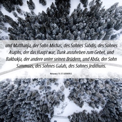 Picture 06 - Nehemia 11:17 LUTH1912 - und Matthanja, der Sohn Michas, des Sohnes - Bible Verse Picture