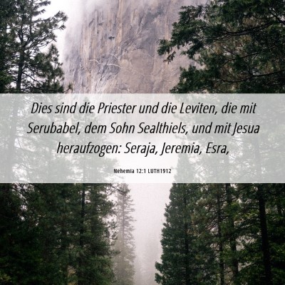 Picture 06 - Nehemia 12:1 LUTH1912 - Dies sind die Priester und die Leviten, die mit - Bible Verse Picture