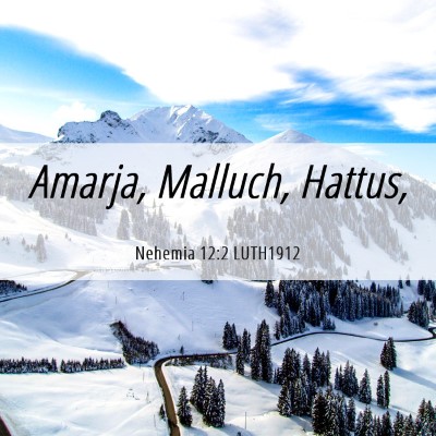 Picture 06 - Nehemia 12:2 LUTH1912 - Amarja, Malluch, - Bible Verse Picture