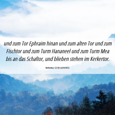 Picture 06 - Nehemia 12:39 LUTH1912 - und zum Tor Ephraim hinan und zum alten Tor und - Bible Verse Picture