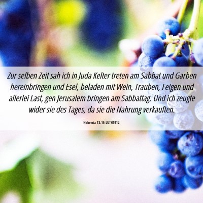 Picture 06 - Nehemia 13:15 LUTH1912 - Zur selben Zeit sah ich in Juda Kelter treten am - Bible Verse Picture